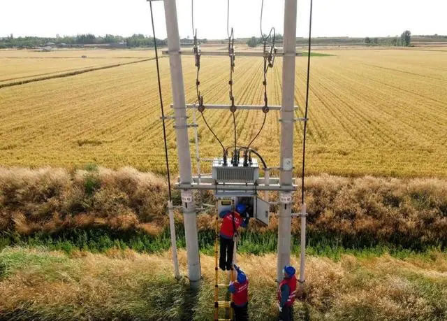 配電箱助力“電力?！报D農(nóng)民有了“電力保”產(chǎn)業(yè)發(fā)展質效