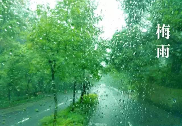 梅雨季節(jié),如何解決配電箱回潮?給你支招